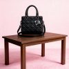 Christian Dior Lady Dior matte edition first copy handbag black color